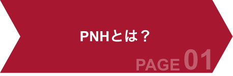 about-pnh01-red