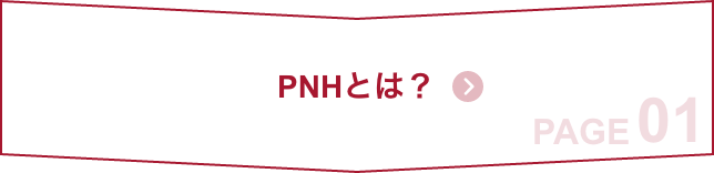 about-pnh01-sp
