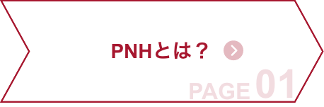 about-pnh01