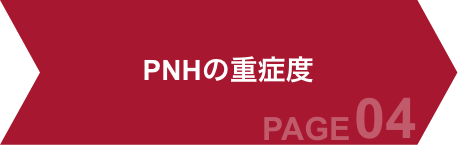 about-pnh04-red