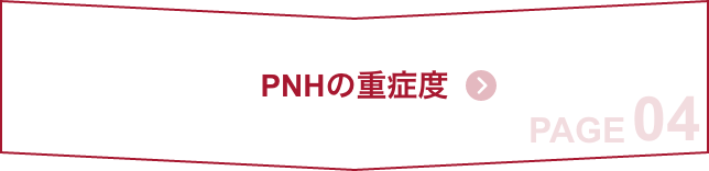 about-pnh04-sp