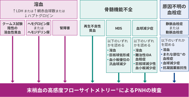 図3：PNHスクリーニング