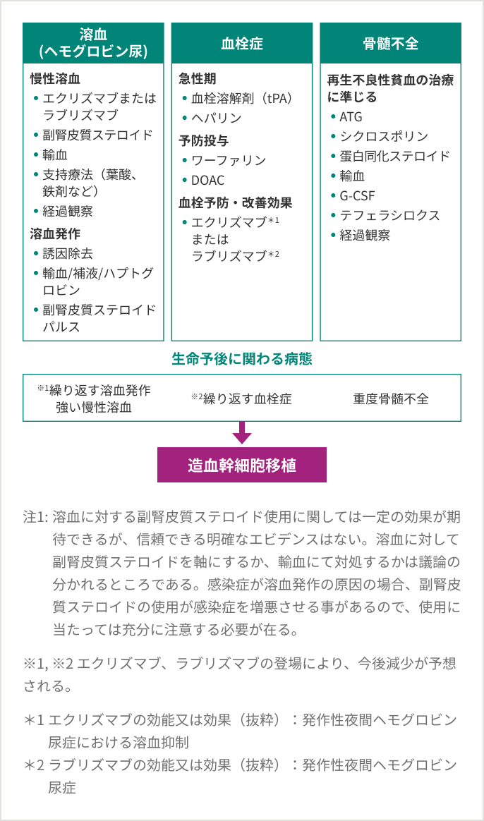 図2：PNH の病態別治療方針