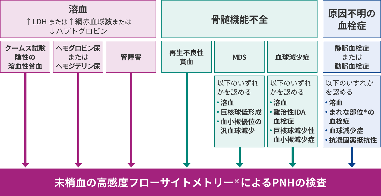 図3：PNHスクリーニング